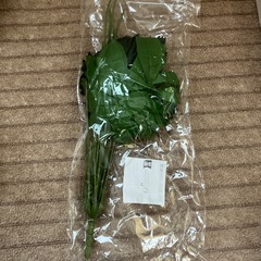 人工観葉植物の画像