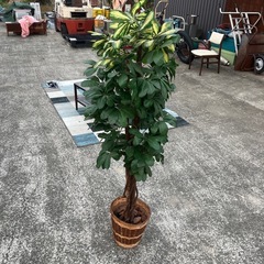 ★造花 観葉植物★の画像