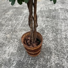 ★造花 観葉植物★の画像