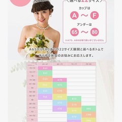 ブライダルインナー(美補正) E65の画像