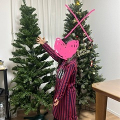 クリスマスツリー もみの木の画像