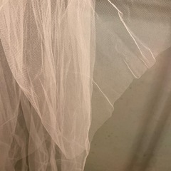 ブライダルベール
の画像