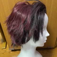 炭治郎 ウィッグ 衣装 の画像