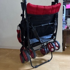 リッチェル　リベラ　クワットの画像