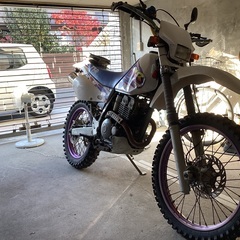 ヤマハ　TT250R 書類有り　オフロード　エンデューロ　林道　1週間限定の画像