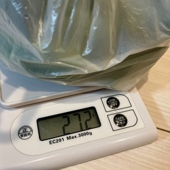 ピーマン　19個の画像