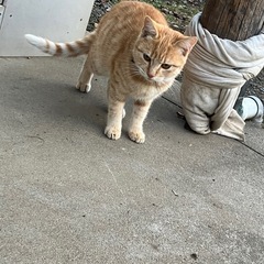 里親さん決まりました。