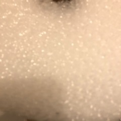 プチプチロールの画像