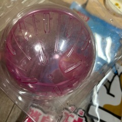 ハムスター 小動物用品 の画像