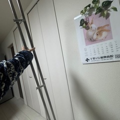 カーテンレールお譲りします（中古・美品）の画像