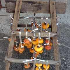 （J-955)　脱穀台*引取り限定(加古川市　鶴林寺前）の画像