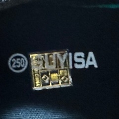 安全靴（未使用）美しい（サイズ25）の画像