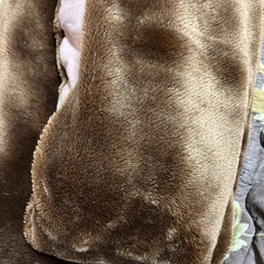 こたつ布団の画像