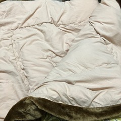 こたつ布団の画像