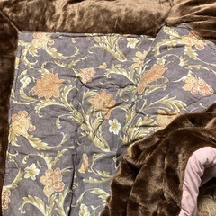 こたつ布団の画像