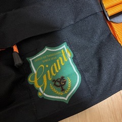 【レア品】読売ジャイアンツ ボストンバック 旅行バックの画像
