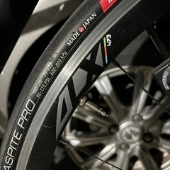 スクルトゥーラリミテッド2020  の画像