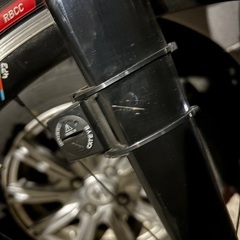 スクルトゥーラリミテッド2020  の画像