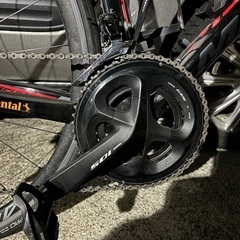 スクルトゥーラリミテッド2020  の画像