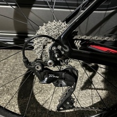 スクルトゥーラリミテッド2020  の画像