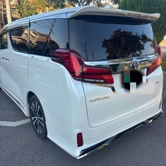 30アルファードscパッケージ🉐フルカスタムの画像