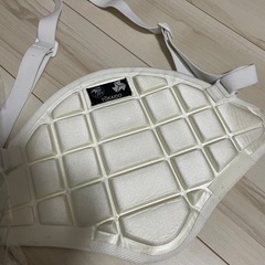 胴プロテクター、
新品シンガードセットの画像
