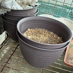 プランターの画像