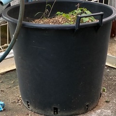 プランターの画像