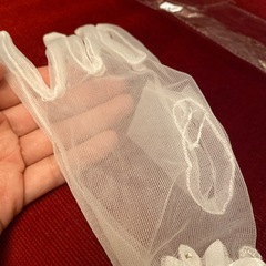 ブライダル・グローブ
の画像