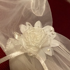 ブライダル・グローブ
の画像