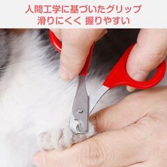 鳥用爪切り 小型 ミニ 爪切り はさみ ペット 猫 鳥 インコ 文鳥 小動物 安全 カーブ刃 ステンレス 簡単 コンパクト 軽量 初心者向け お手入れ ネイルクリッパーの画像