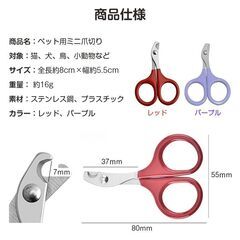 鳥用爪切り 小型 ミニ 爪切り はさみ ペット 猫 鳥 インコ 文鳥 小動物 安全 カーブ刃 ステンレス 簡単 コンパクト 軽量 初心者向け お手入れ ネイルクリッパーの画像