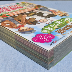 📚️3DS攻略本 📚️牧場物語 はじまりの大地 ザ･コンプリートガイドの画像