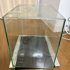 グラステリアFL300 ガラス水槽の画像