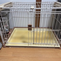 犬　げーじゲージの画像