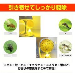 コバエ取り 5個セット LED発光 粘着ボール 無臭 静音 夏 トラップ コバエ 蚊 ハエ 誘引 捕獲 駆除 害虫対策 簡単設置 室内用 リビング 虫除け USB給電 長持ちの画像