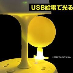 コバエ取り 5個セット LED発光 粘着ボール 無臭 静音 夏 トラップ コバエ 蚊 ハエ 誘引 捕獲 駆除 害虫対策 簡単設置 室内用 リビング 虫除け USB給電 長持ちの画像