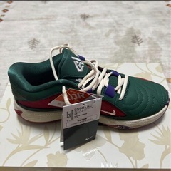 Nike ズーム　フリーク　5EPの画像