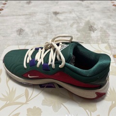 Nike ズーム　フリーク　5EPの画像