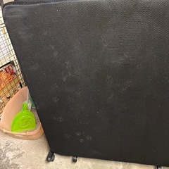 折りたたみベットの画像