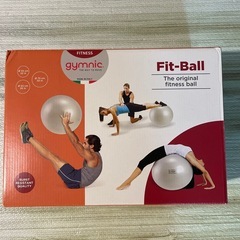 フィットネスボール
の画像