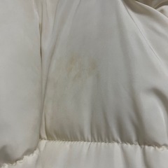 ダウン「しまむら」レディース の画像