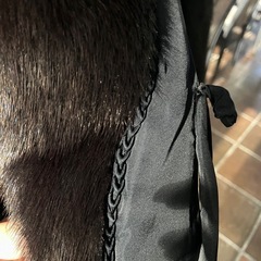 ミンクのコートの画像