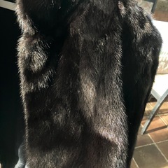 ミンクのコートの画像