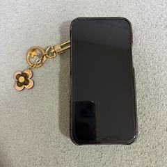 ヴィトン ケータイケース、キーホルダーの画像