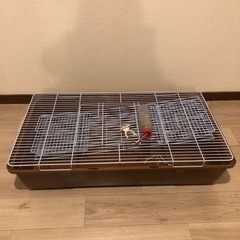 決まりましたの画像