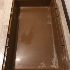 決まりましたの画像