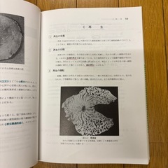 病理学概論の画像