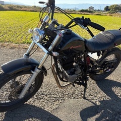 FTR223カスタム　絶好調（スカチューン）自賠責付の画像