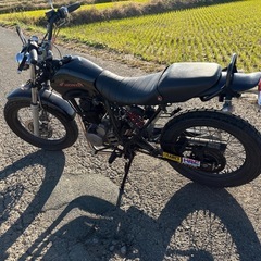 FTR223カスタム　絶好調（スカチューン）自賠責付の画像